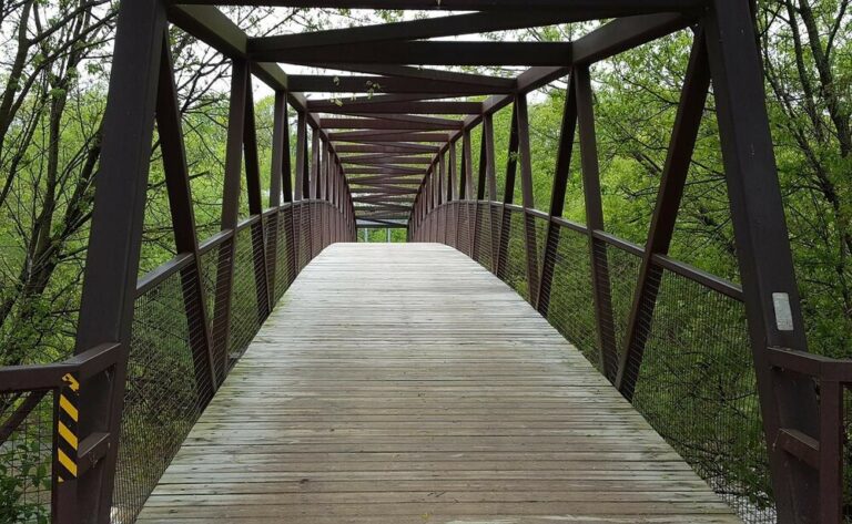 Best Mississauga Hiking Trails